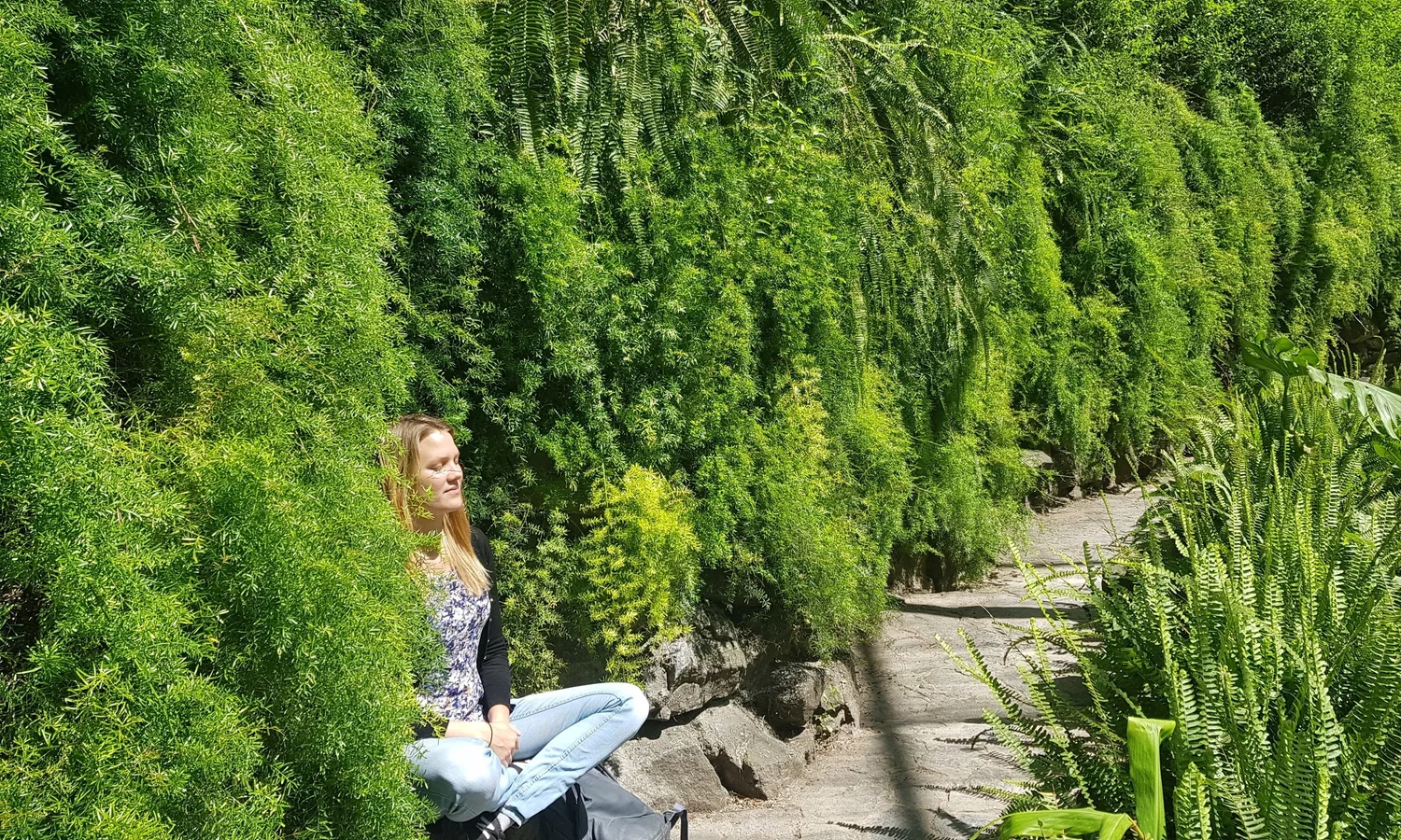 Quiet morning focus by the water