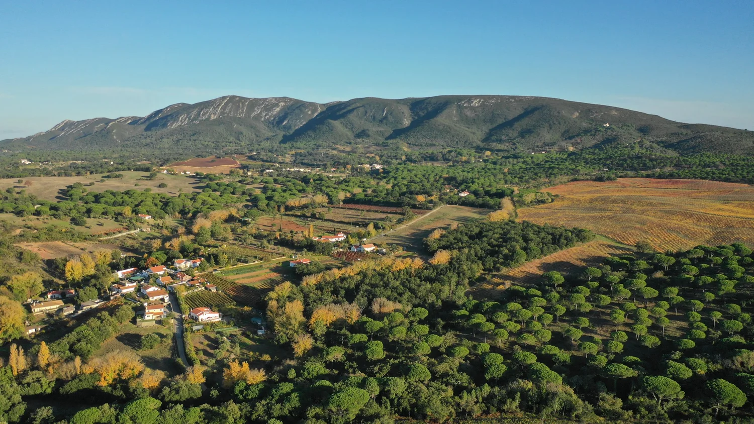 Aerial view of Slow Co Farm in Arrábida