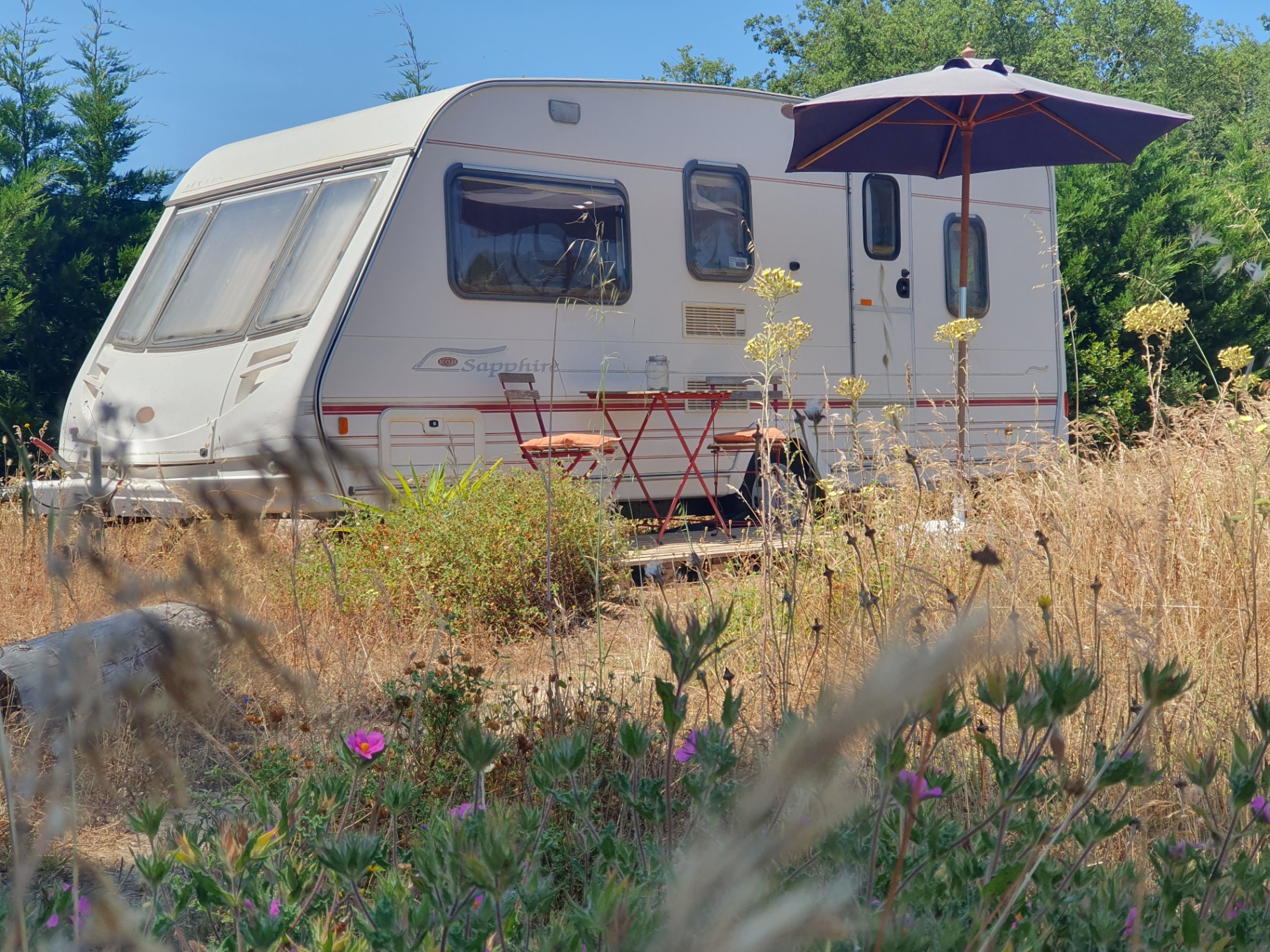 Caravan with parasol in the wildflower field