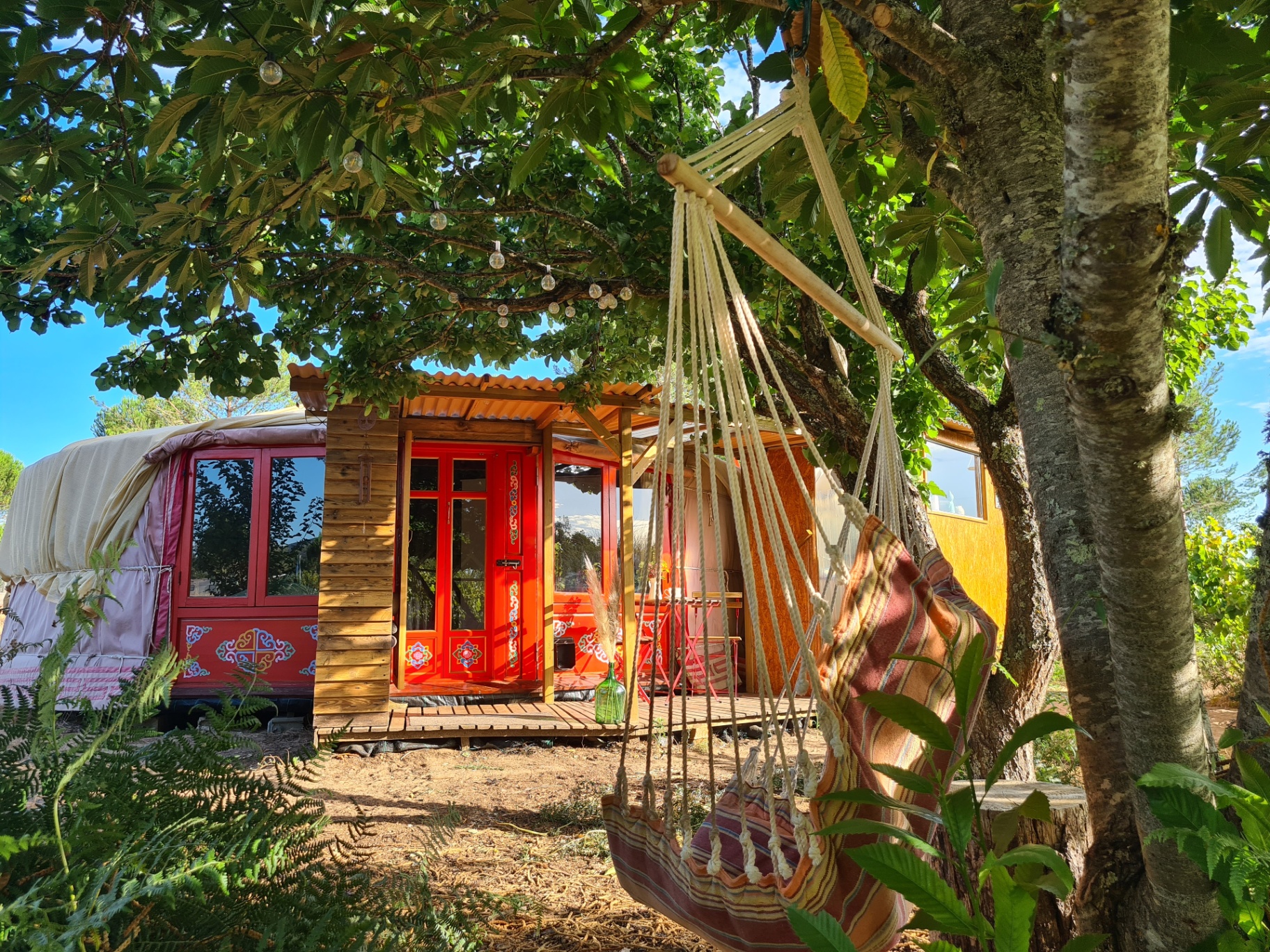 Yurt entrance with hammock under the trees